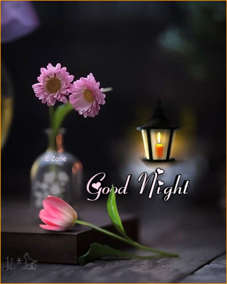 beautiful-good-night-images_3