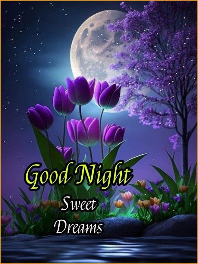 beautiful-good-night-sweet-dreams-images_5