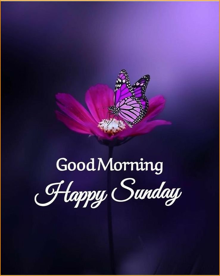 beautiful-happy-sunday-images_3