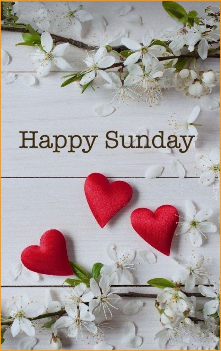 beautiful-happy-sunday-images_6