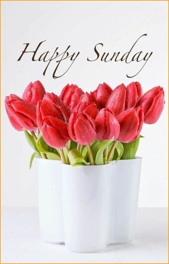 good-morning-happy-sunday-hd-images_0