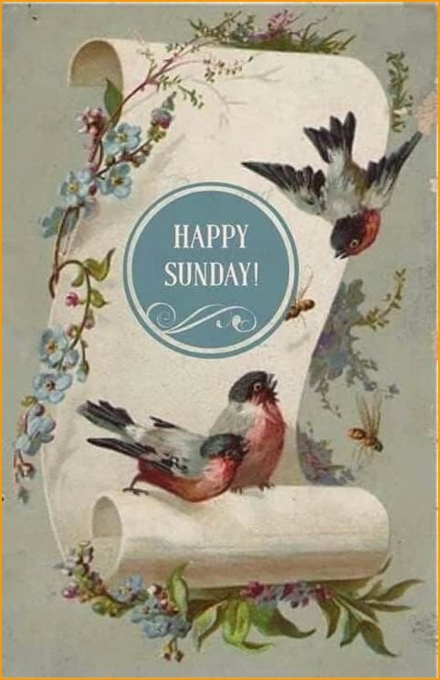 good-morning-happy-sunday-hd-images_1