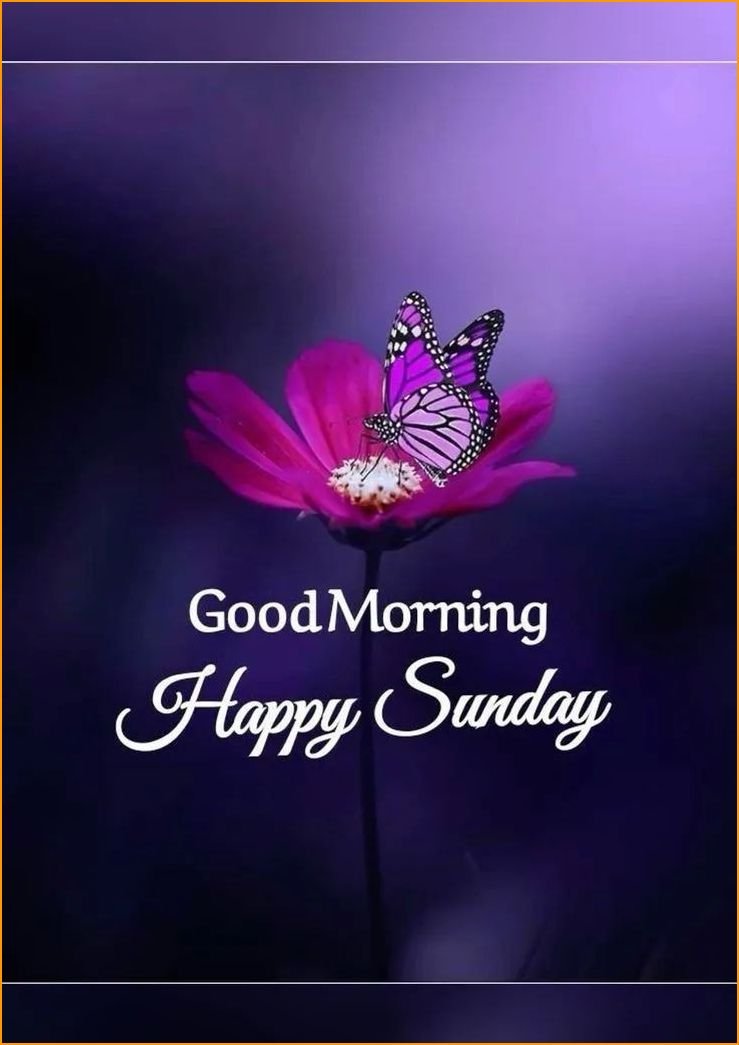 good-morning-happy-sunday-hd-images_4