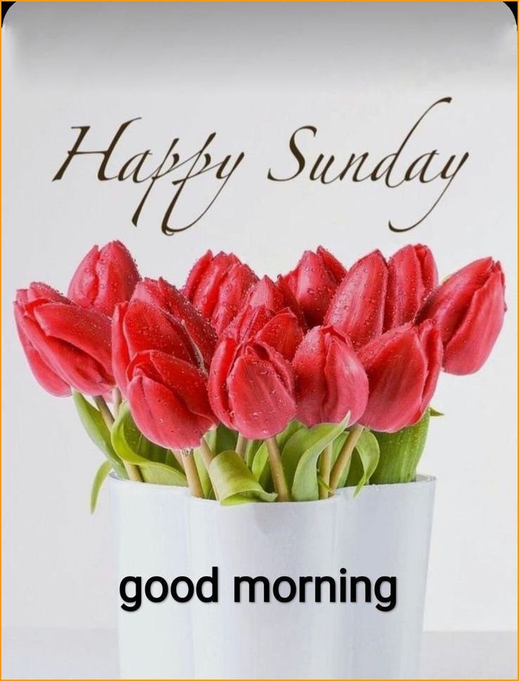 good-morning-happy-sunday-hd-images_5