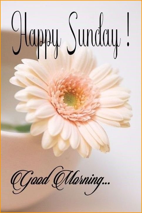 good-morning-happy-sunday-hd-images_8