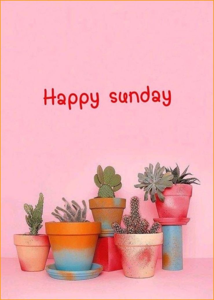 good-morning-happy-sunday-hd-images_9