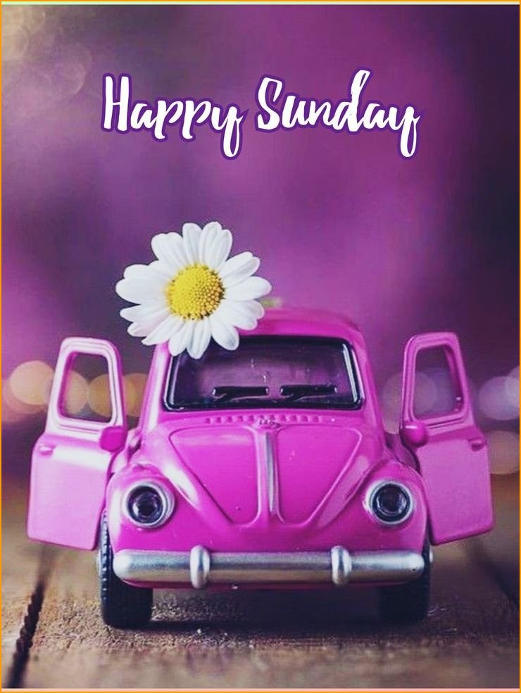 good-morning-happy-sunday-images_4