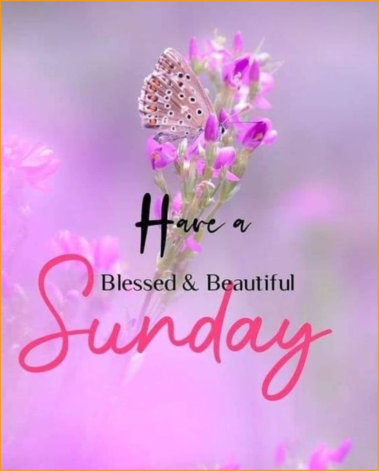 good-morning-images-happy-sunday_7