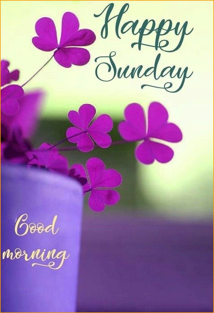 good-morning-images-happy-sunday_8