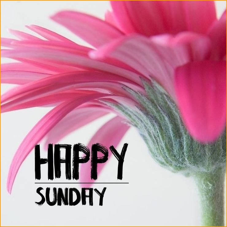 good-morning-images-happy-sunday_9