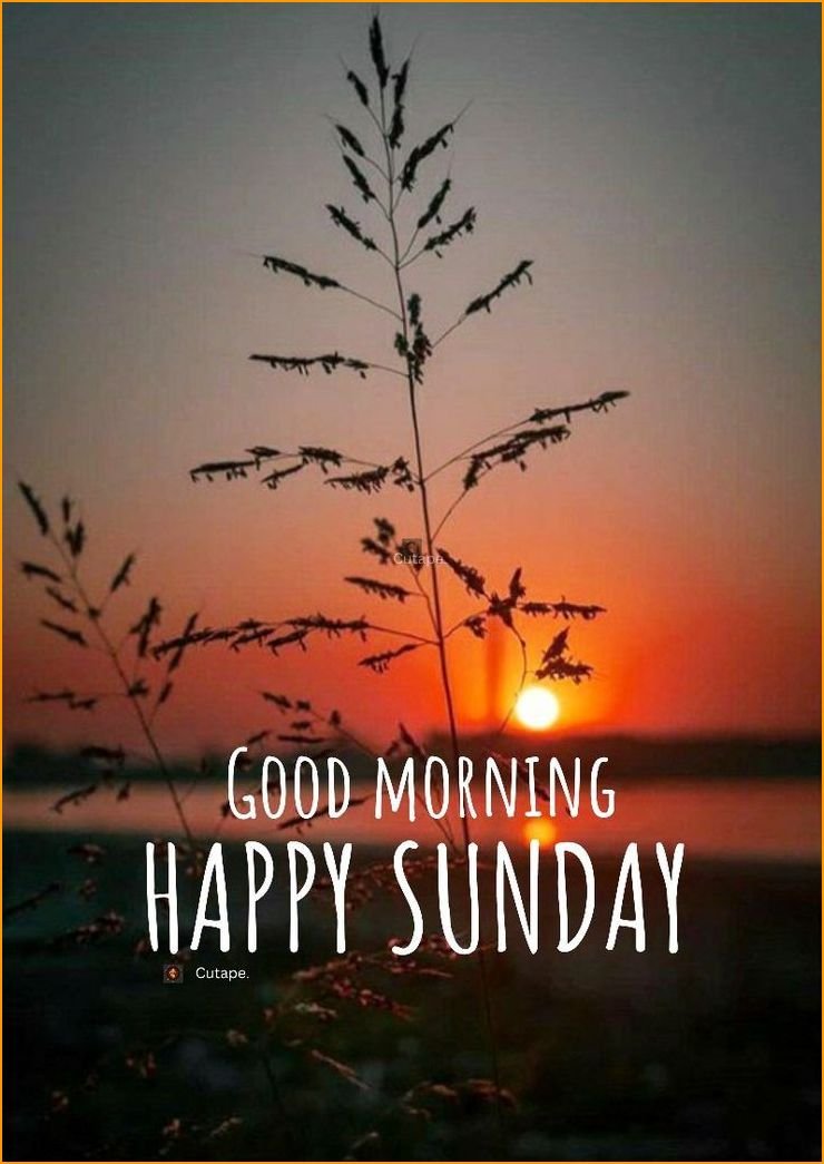 happy-palm-sunday-images_0