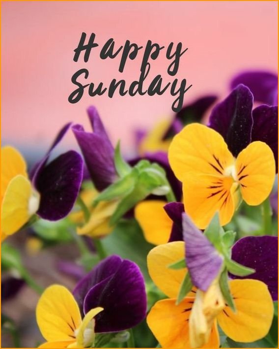 happy-palm-sunday-images_7