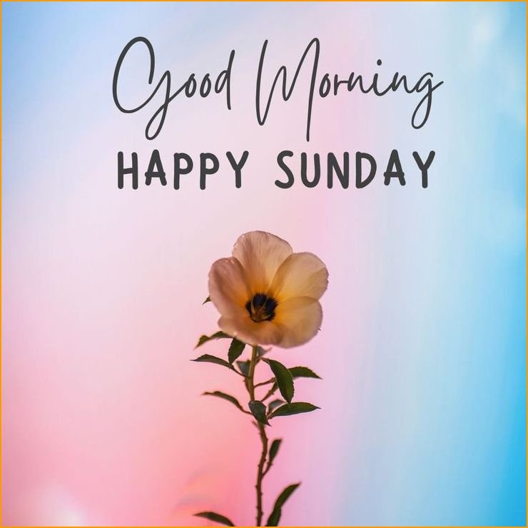 happy-sunday-good-morning-images_0