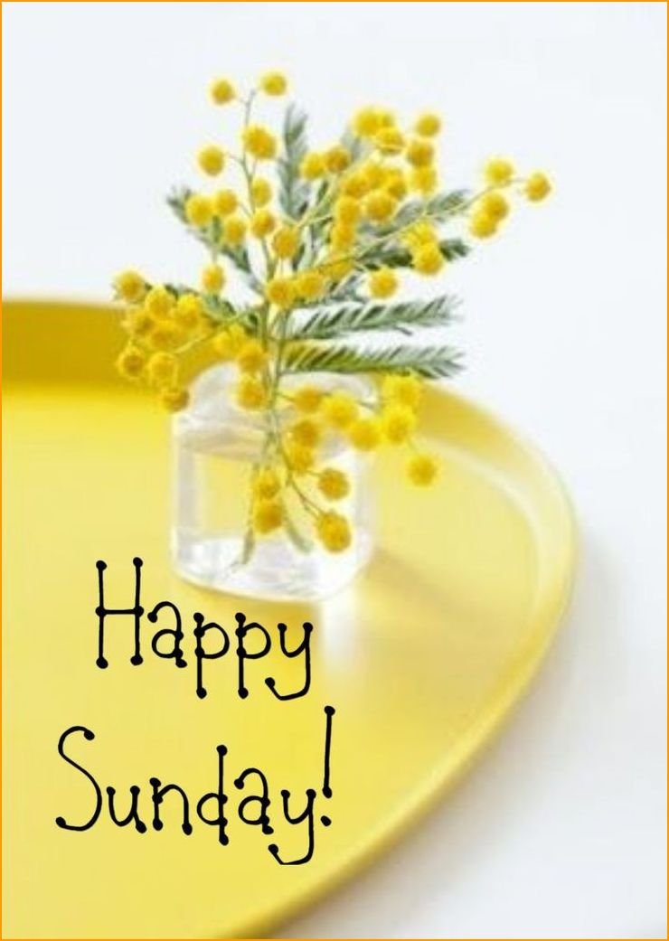 happy-sunday-good-morning-images_6