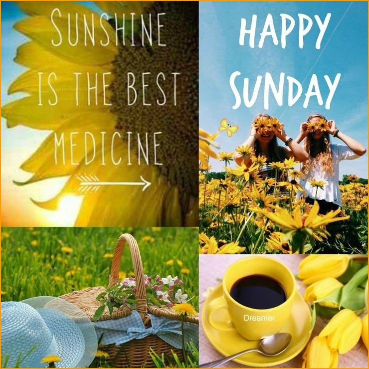 happy-sunday-good-morning-images_9