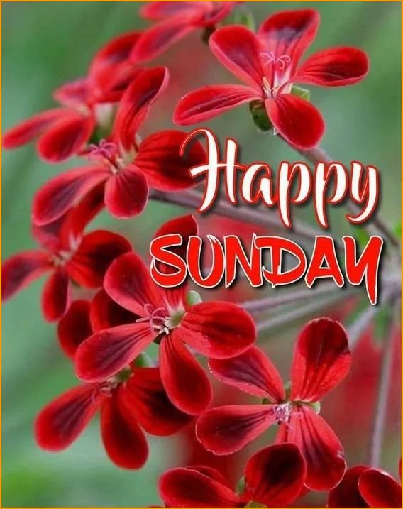 happy-sunday-images_6